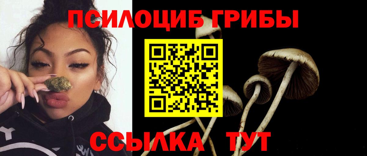 Нефтекумск  Галлюциногенные грибы прущие грибы  Вход с VPN 